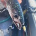 Hook Up / Baiting Aid  